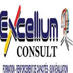 EXCELLIUM CONSULT
